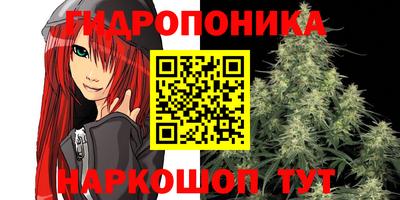 стафф Абакан