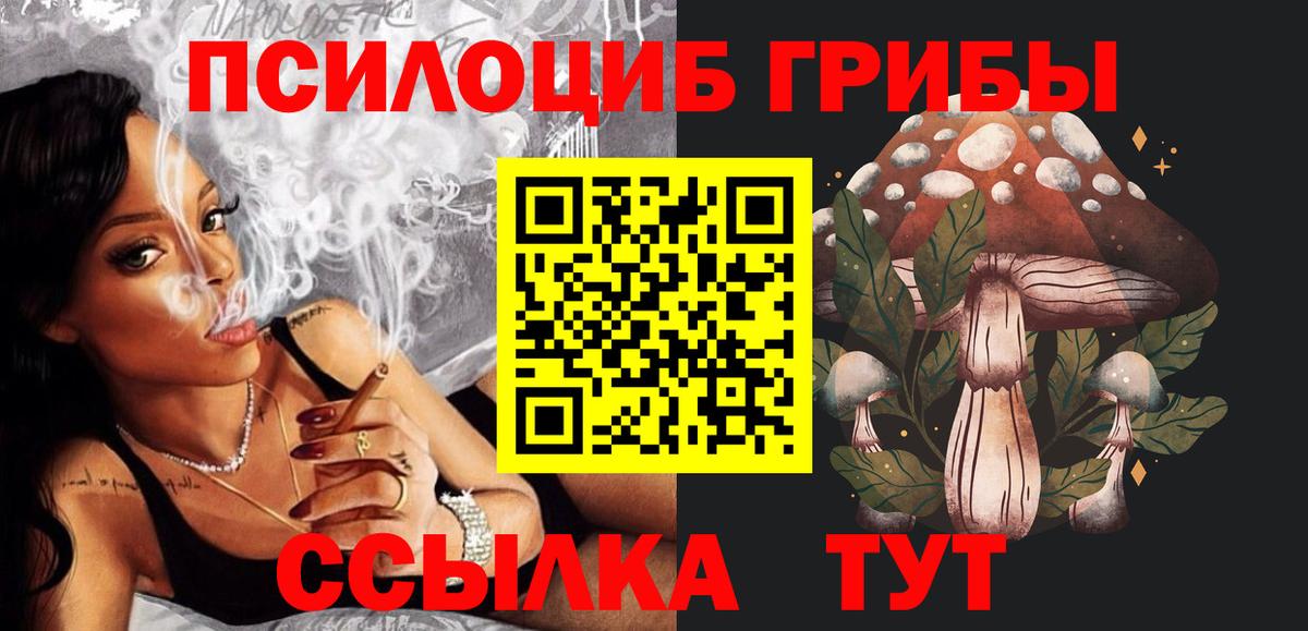 Альметьевск  Галлюциногенные грибы GOLDEN TEACHER  Вход с VPN  даркнет сайт  Псилоцибиновые грибы Magic Shrooms 